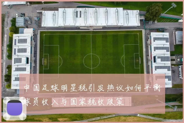 中国足球明星税引发热议如何平衡球员收入与国家税收政策