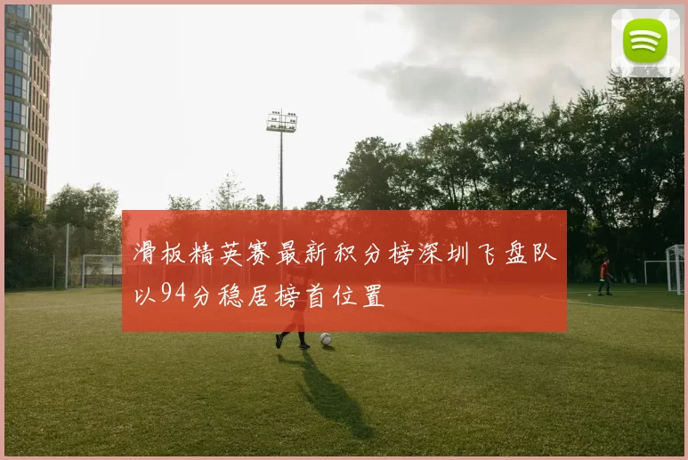 滑板精英赛最新积分榜深圳飞盘队以94分稳居榜首位置