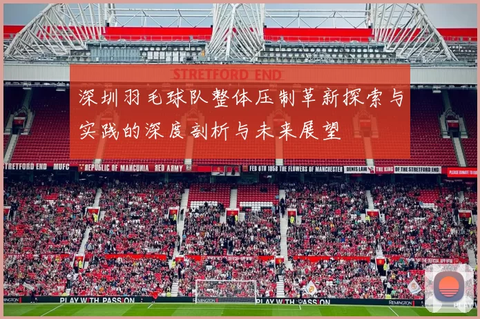 深圳羽毛球队整体压制革新探索与实践的深度剖析与未来展望
