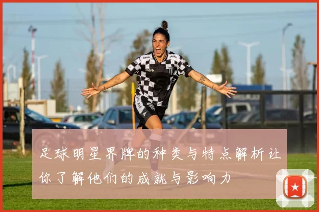 足球明星界牌的种类与特点解析让你了解他们的成就与影响力
