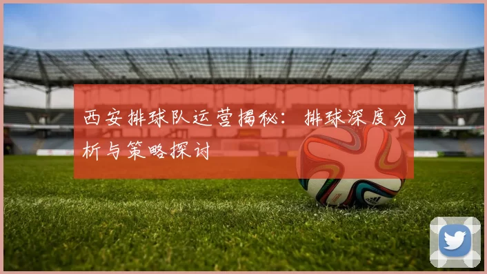 西安排球队运营揭秘：排球深度分析与策略探讨
