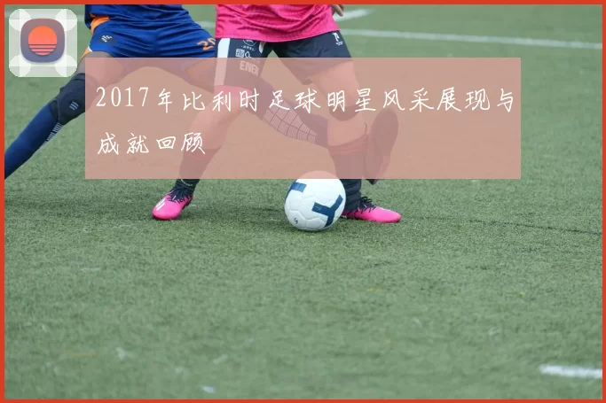 2017年比利时足球明星风采展现与成就回顾
