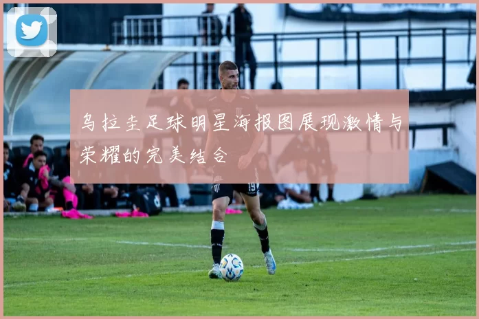 乌拉圭足球明星海报图展现激情与荣耀的完美结合