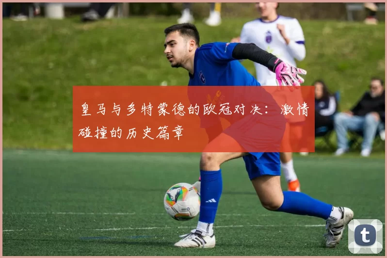 皇马与多特蒙德的欧冠对决：激情碰撞的历史篇章