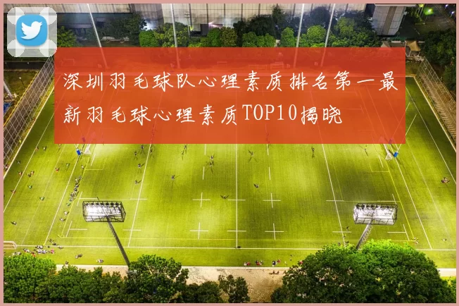 深圳羽毛球队心理素质排名第一最新羽毛球心理素质TOP10揭晓