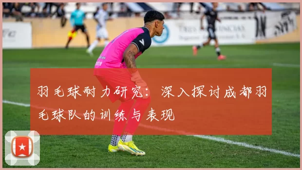 羽毛球耐力研究：深入探讨成都羽毛球队的训练与表现
