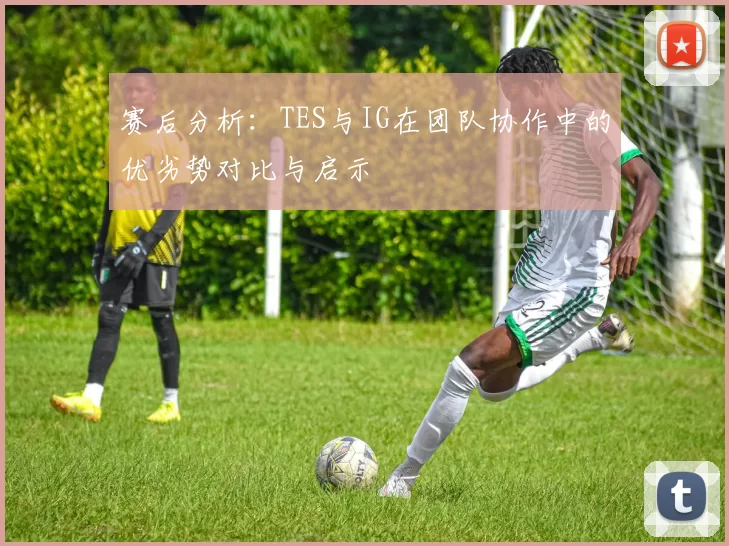 赛后分析：TES与IG在团队协作中的优劣势对比与启示
