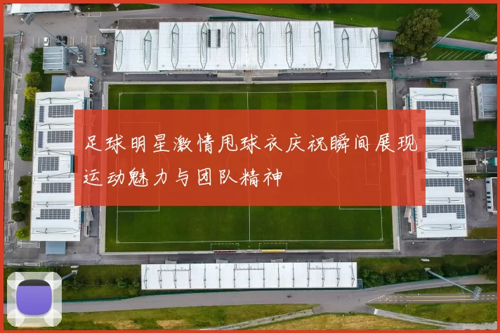 足球明星激情甩球衣庆祝瞬间展现运动魅力与团队精神
