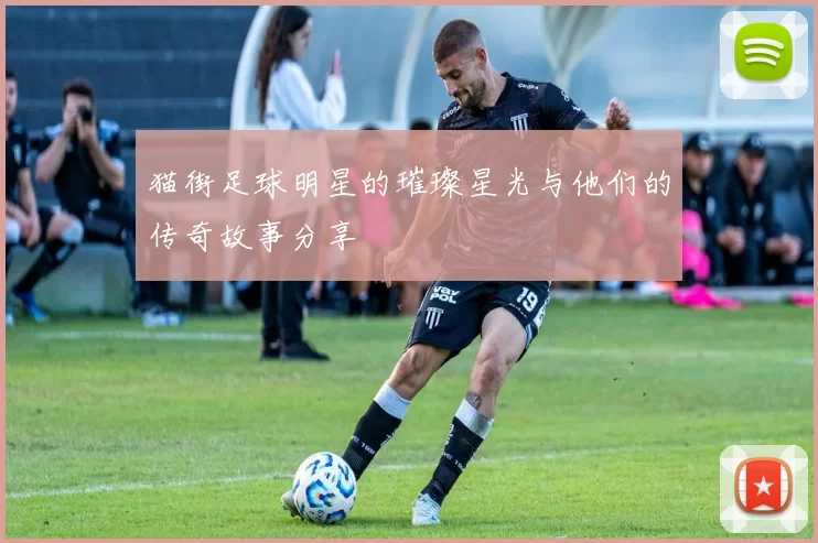 猫街足球明星的璀璨星光与他们的传奇故事分享