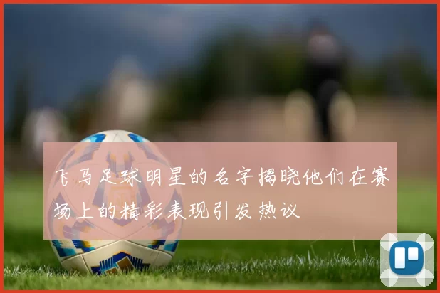飞马足球明星的名字揭晓他们在赛场上的精彩表现引发热议