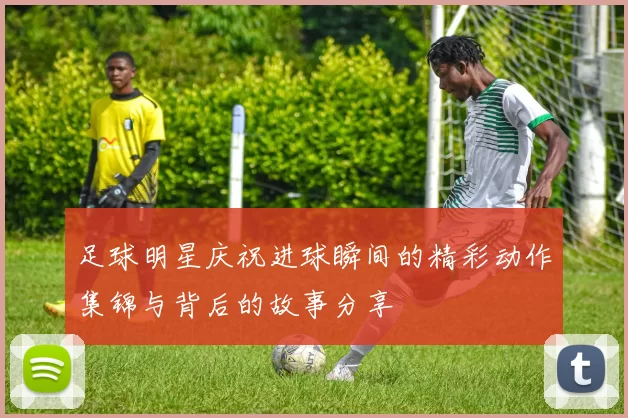足球明星庆祝进球瞬间的精彩动作集锦与背后的故事分享