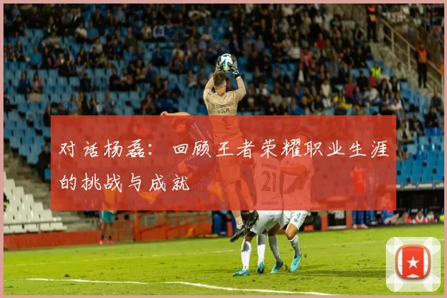 对话杨磊：回顾王者荣耀职业生涯的挑战与成就