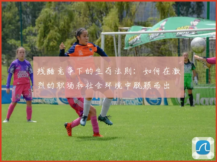 残酷竞争下的生存法则：如何在激烈的职场和社会环境中脱颖而出