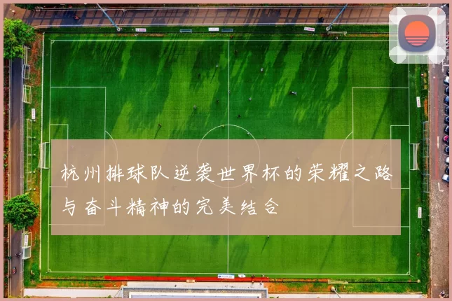 杭州排球队逆袭世界杯的荣耀之路与奋斗精神的完美结合