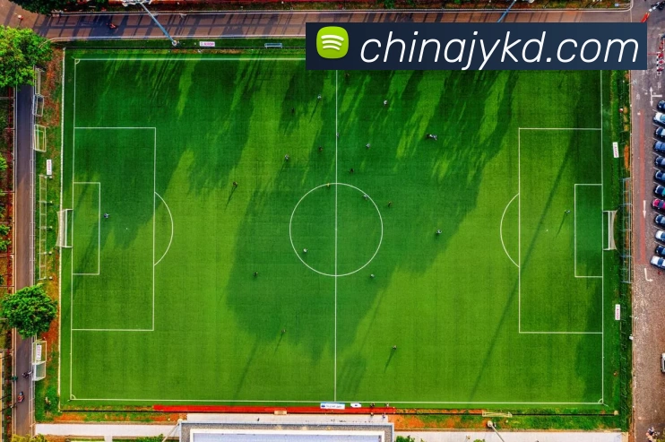 奖项图2